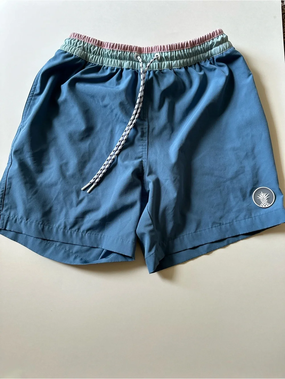 Chubbies Pastel Blue 5 1/2 inch Quick Dry Boxer Brief Liner Swim Trunks